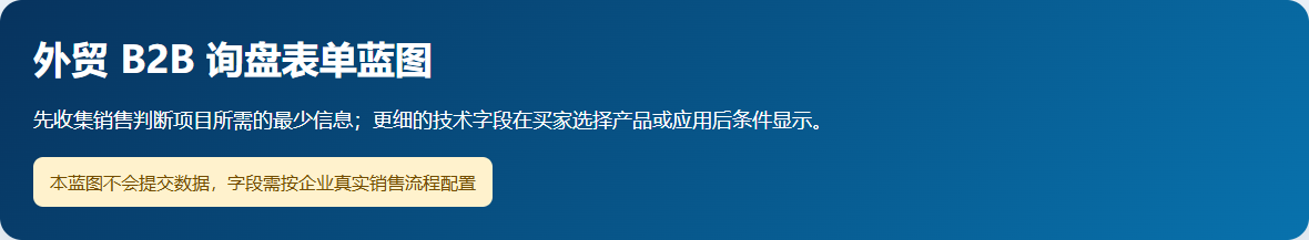 实际制作的外贸 B2B 询盘表单蓝图说明基础字段和条件字段