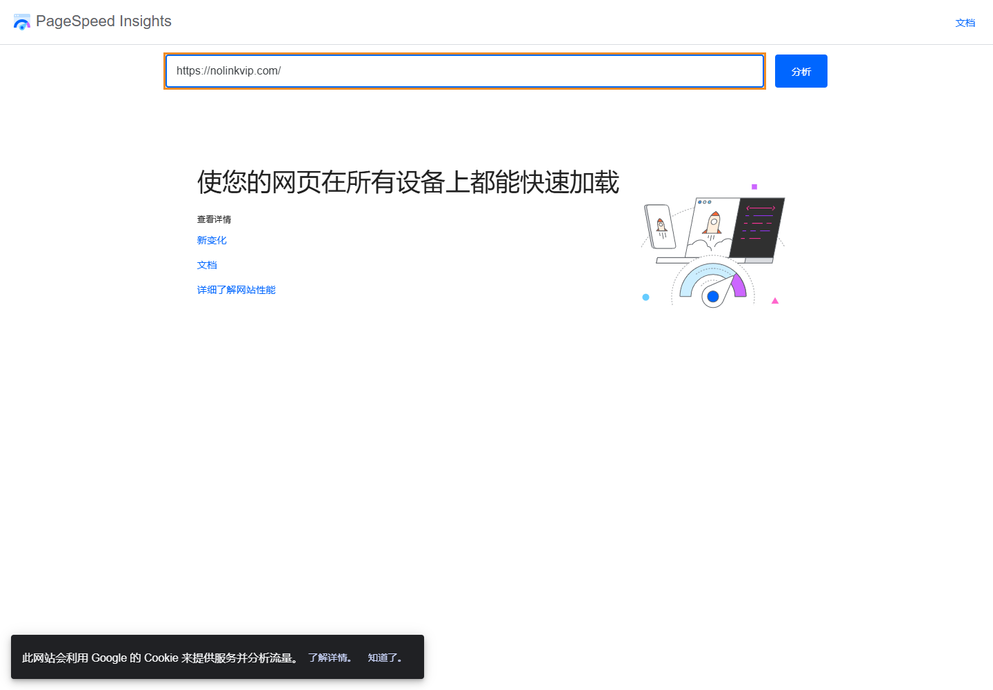 PageSpeed Insights 输入 nolinkvip.com 公开首页并准备分析的当前真实操作截图