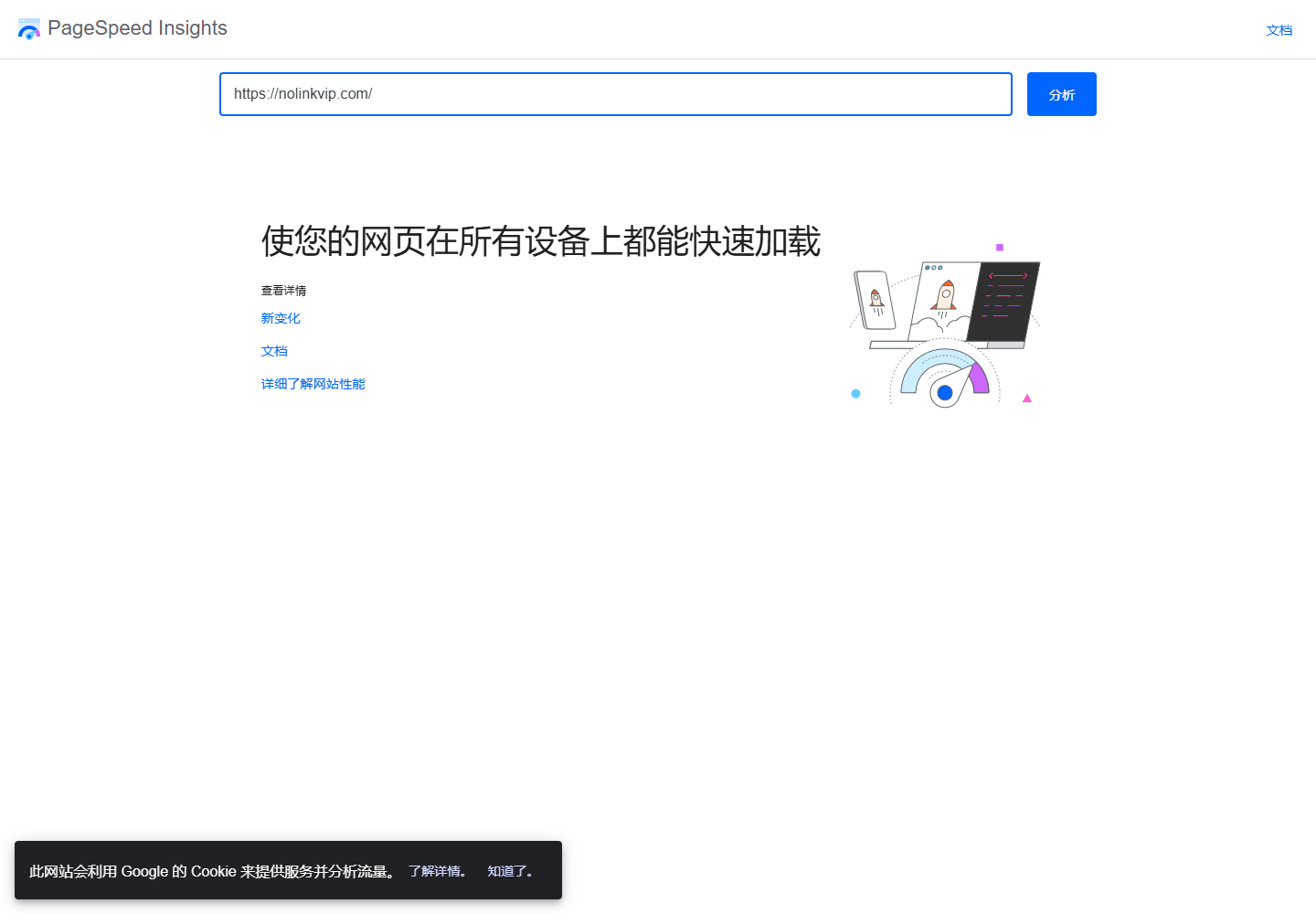 2026 年 8 月 19 日 PageSpeed Insights 输入 nolinkvip.com 准备分析的真实页面