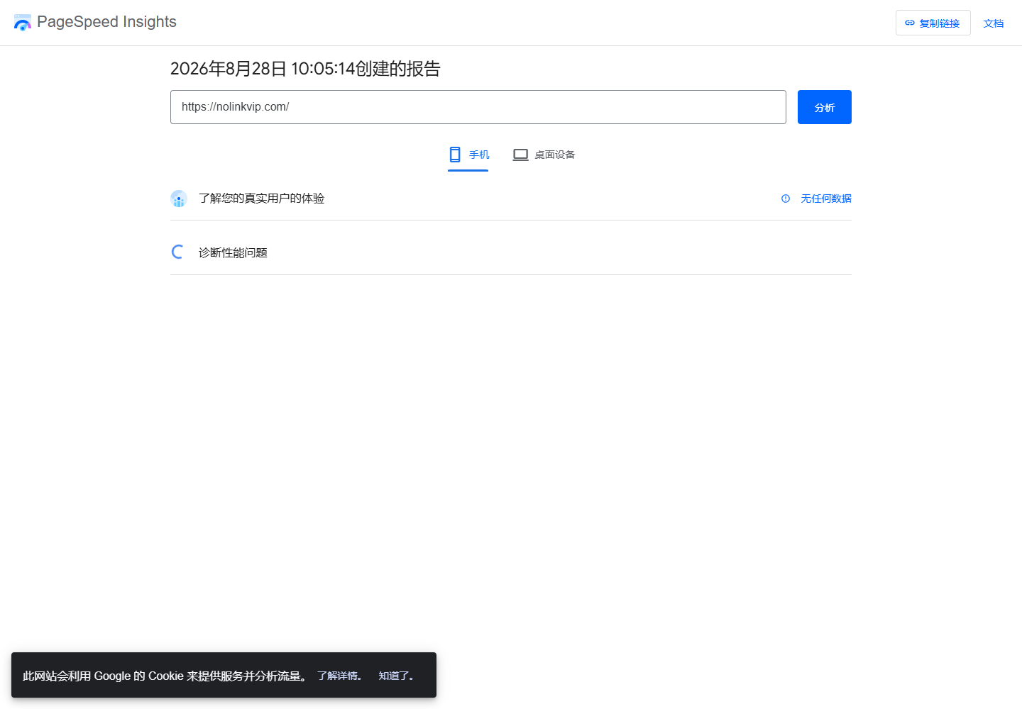 PageSpeed Insights 对 nolinkvip.com 公开首页本次运行显示无字段数据且诊断加载中的真实状态